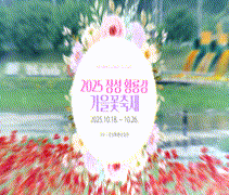 2025 장성 황룡강 가을꽃축제-사진