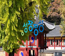 장성군D_문화예술_20s-사진