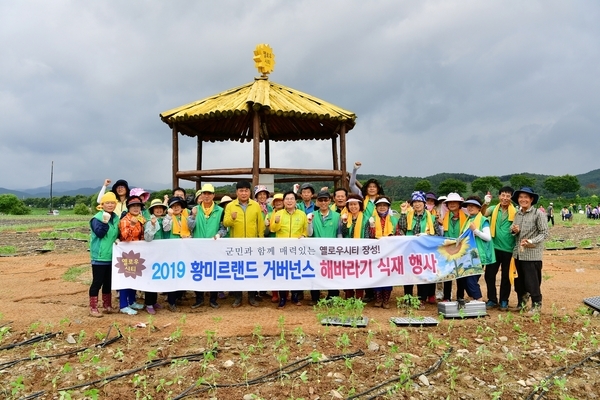 황미르랜드 해바라기 식재 커버런스 행사 이미지 6