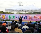 제3회 월정 자운영 꽃 축제...