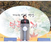 제16회 장성백양단풍축제