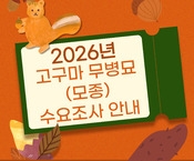 2026년 고구마 무병묘(모종) 수요조사 안내