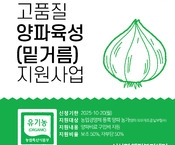 2025년 고품질 양파육성(밑거름) 지원사업(마감)