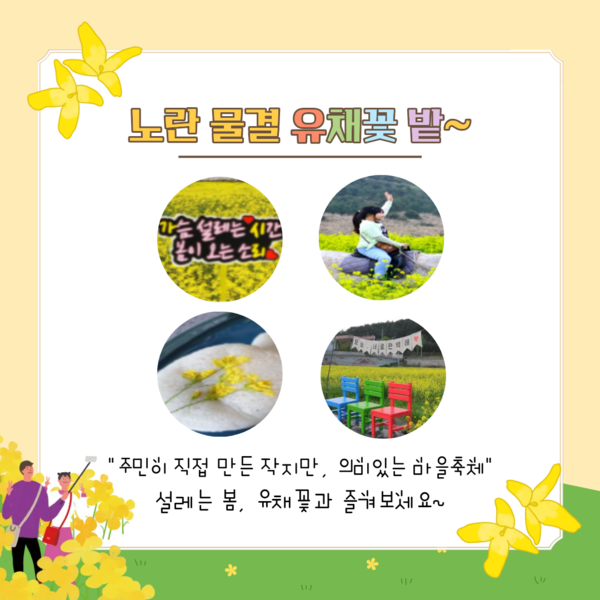 제2회 진원면 유채꽃축제 개최 이미지 5