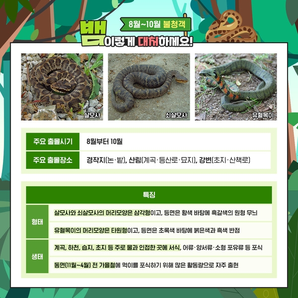 8월~10월 뱀 대처법! 이미지 2