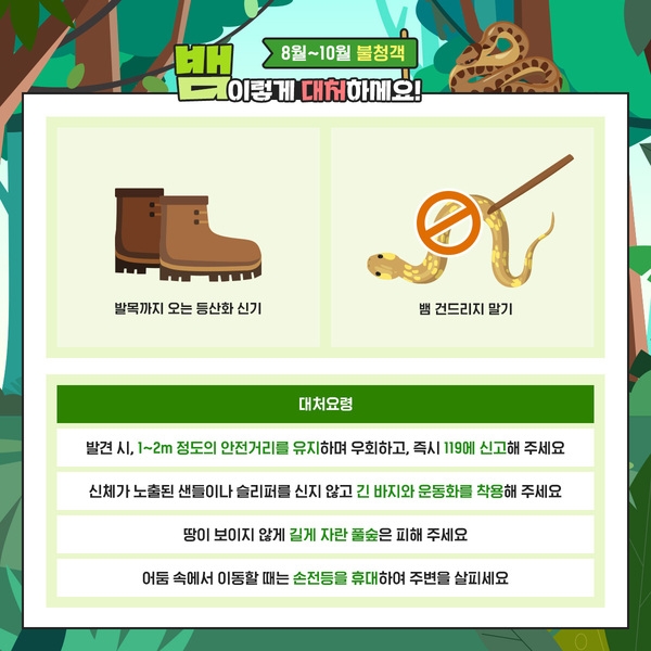 8월~10월 뱀 대처법! 이미지 5