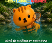 다슬기 채취 사고예방 안전수칙