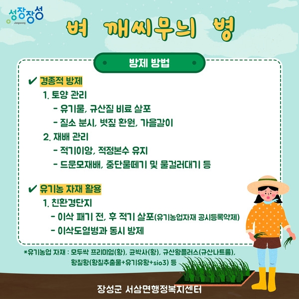  깨씨무늬병 방제방법 안내 이미지 2