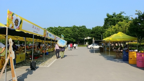 장성군, ‘황룡강 노란꽃장터’ 운영 업체 모집 이미지 1