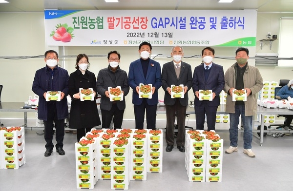 장성군 명품 ‘불태산 딸기’ 본격 출하 이미지 2