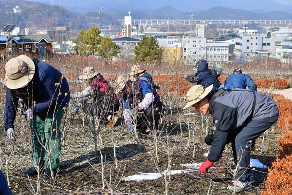 [포토뉴스] “장성무궁화공원 가꾸러 왔어요” 이미지 2