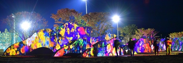 장성 황룡강 가을꽃축제 ‘2023년 전남 대표축제’ 선정! 이미지 4