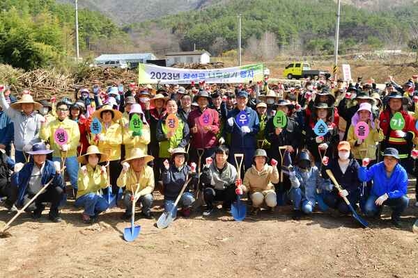 장성군, 군민과 함께 편백나무 3000여 주 식재 이미지 1