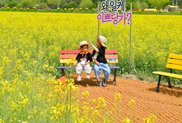 장성군, 조례 개정으로 신생아 양육비 2배 인상 이미지 1