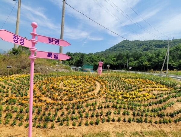 장성군 북일면 작은재에 ‘바람꽃정원’ 조성 이미지 1