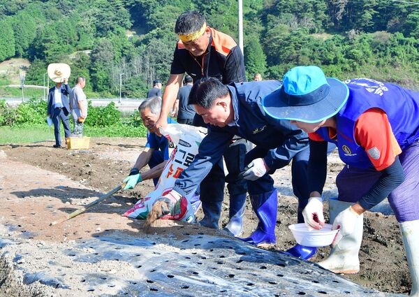 장성군 북하면 ‘산나물축제’ 기대감 쑥쑥! 이미지 1
