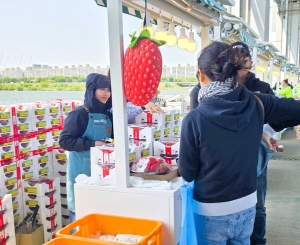 서울 잠수교에서 장성군 ‘맛캉스’ 알린다 이미지 2