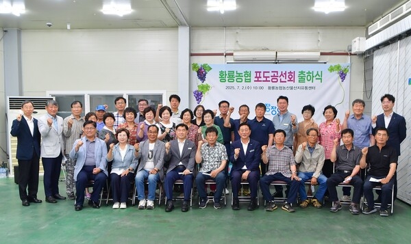 장성군 “맛있는 장성산 캠벨포도 출시” 이미지 3