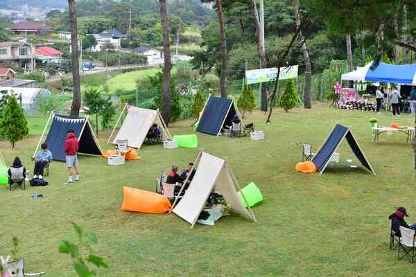 ‘전국 최대 잔디 생산지’ 장성군 삼서면, 20일 잔디 축제 연다 이미지 1