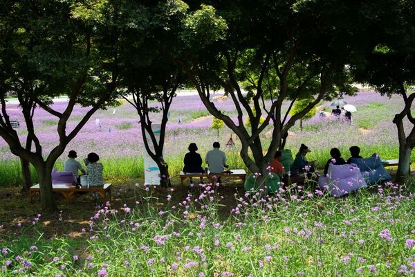 장성군, 24일 상무대·북이도서관에서 ‘문화 행사’ 이미지 1