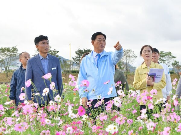 [포토] 장성군, ‘장성 황룡강 가을꽃축제’ 현장에서 답 찾는다 이미지 2