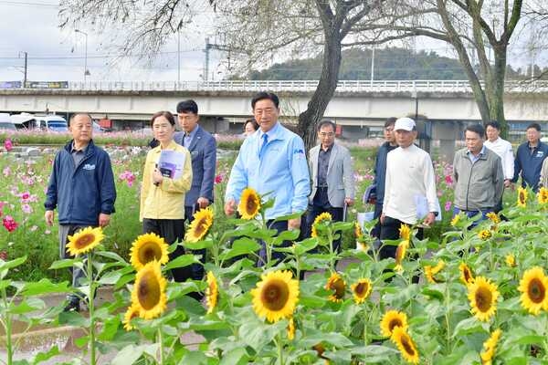 [포토] 장성군, ‘장성 황룡강 가을꽃축제’ 현장에서 답 찾는다 이미지 3