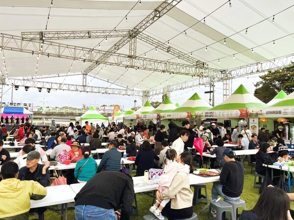 [축제 스케치] 가을비 ‘촉촉’ 장성군 황룡강 가을꽃축제 “그래도 좋소잉” 이미지 1