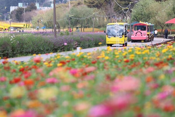 [포토] “장성군 황룡강으로 ‘가을 나들이’ 오세요” 이미지 3