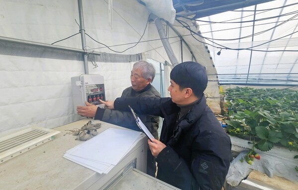 장성군, 시설원예 농가 대상 현장 기술지원 실시 이미지 1