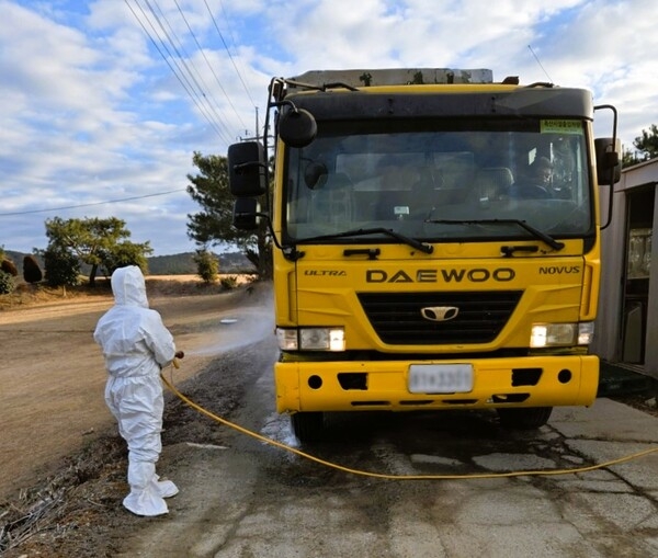 장성군, 조류독감 청정지역 사수 총력 이미지 1