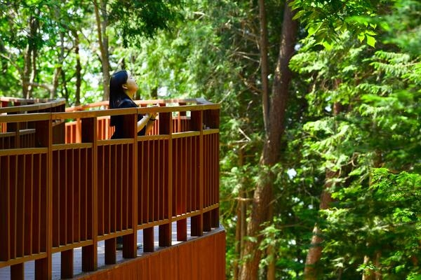 장성군 ‘축령산 자연휴양림 조성사업’ 추진 본격화 이미지 1