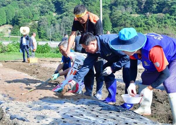장성군 북하면 산나물축제 ‘준비 착착’ 이미지 2