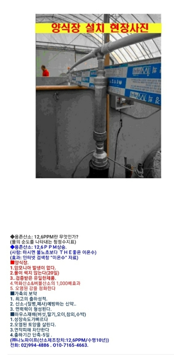 앙식장 이미지 1