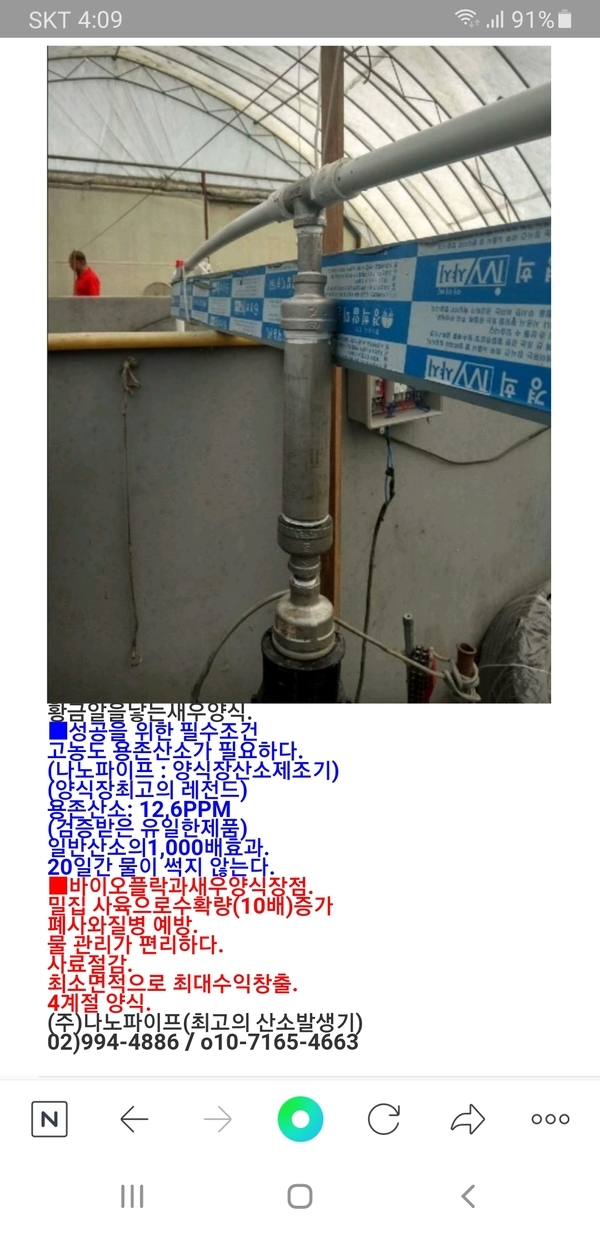 황금알을낳는새우양식 이미지 1