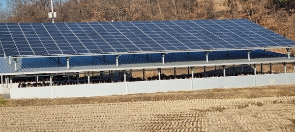 ■23년도장성군민을 위한 주택, 상가, 공장, 태양광 보조금 선접수 ■ 이미지 1
