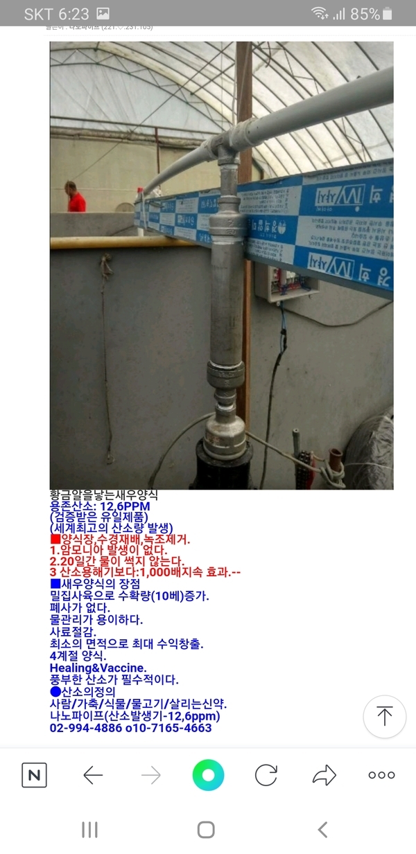황금알을낳는새우양식 이미지 1