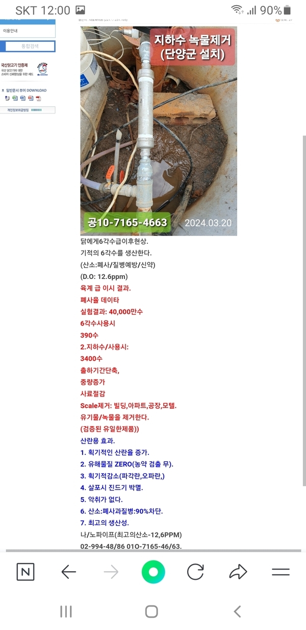 닭에게6각수급이후현상. 이미지 1