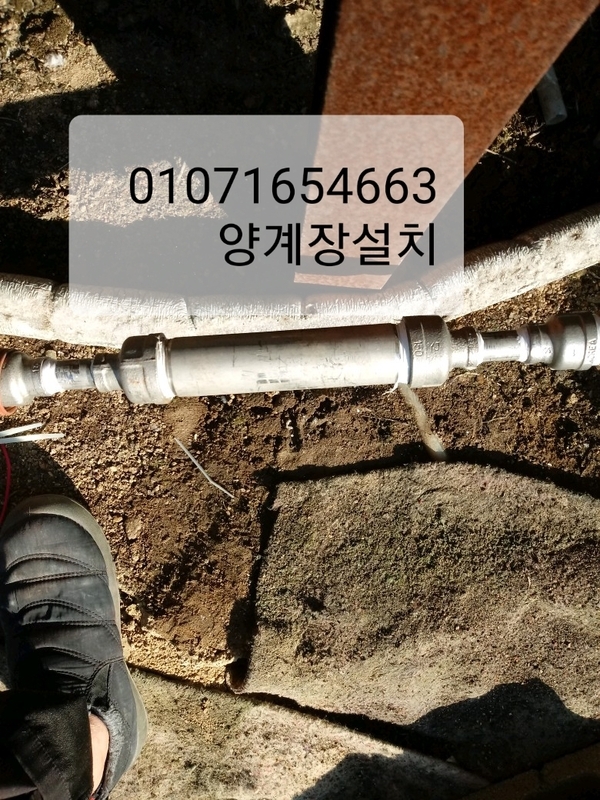 진드기없는우리닭, 이미지 1