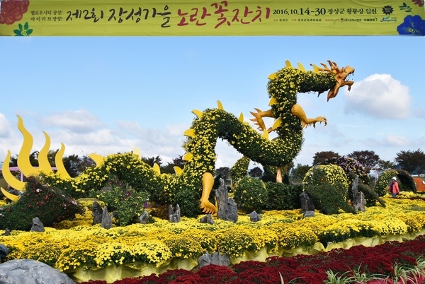 장성노란꽃잔치