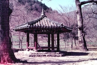 백양사일광정