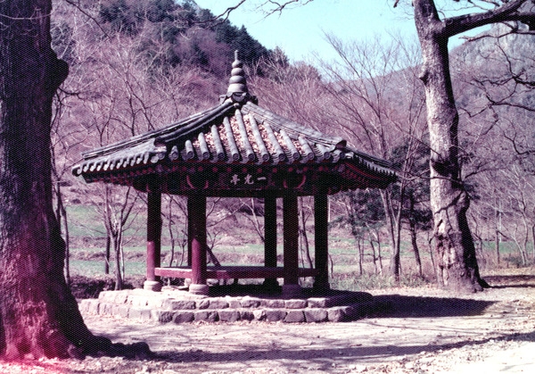 백양사일광정