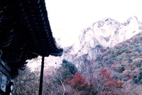 백양사가을