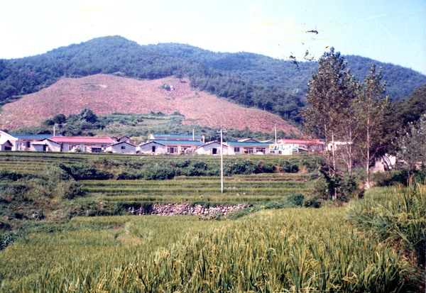 성진원전경