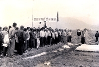 보온못자리설치연시회 장성읍...