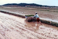 농기계이앙
