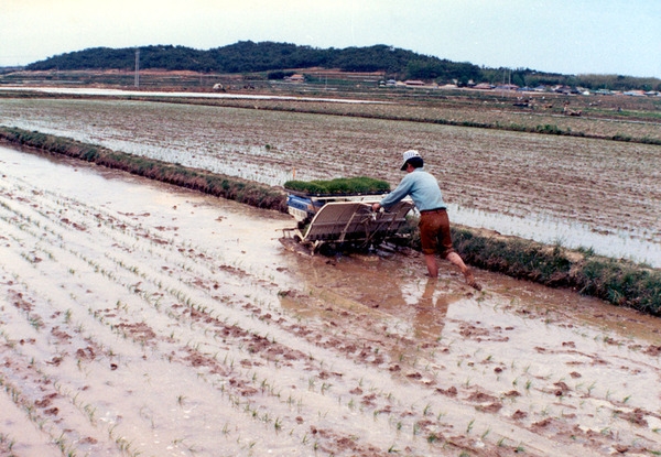 농기계이앙