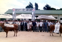 일본.한국 새마을 자매결연