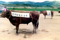 일본.한국 새마을 자매결연