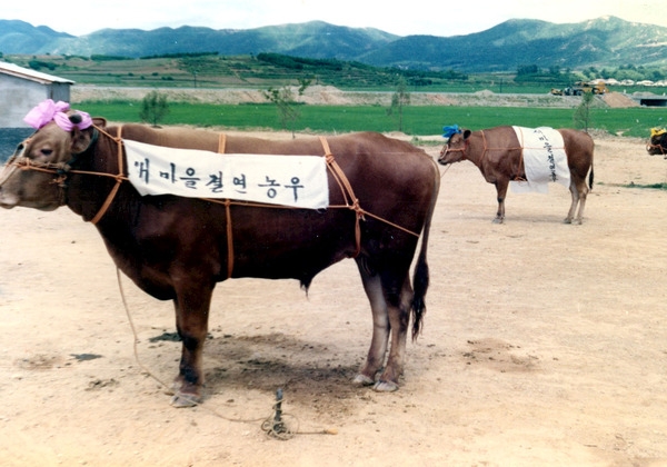 일본.한국 새마을 자매결연