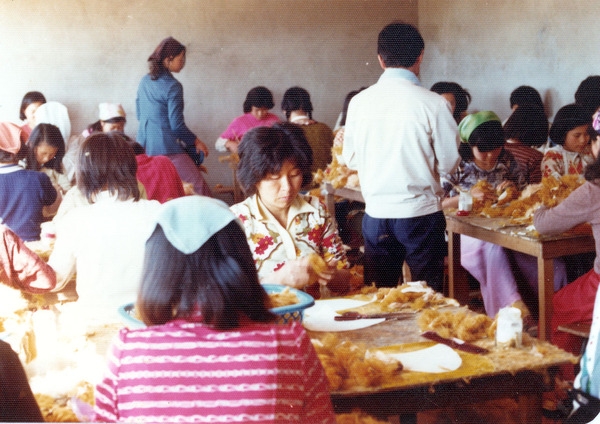 새마을소득사업